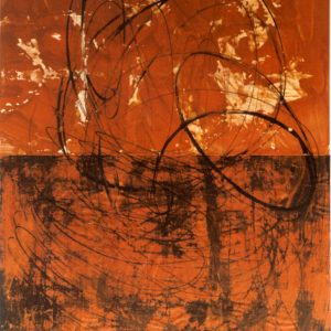 campos de color VI-II